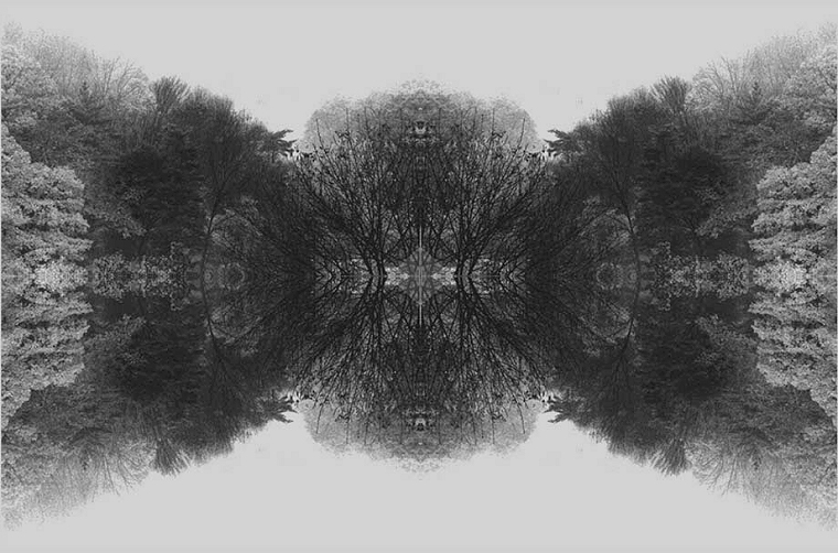 Mindscape: Morning Mist (Gelatin silver print) -- Photograph by Ivonne Pietersen