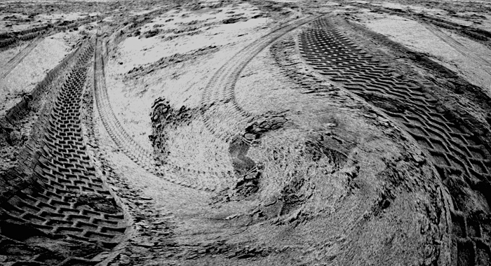 Mindscape: Tracks in the Sand (Gelatin silver print) by Ivonne Pietersen