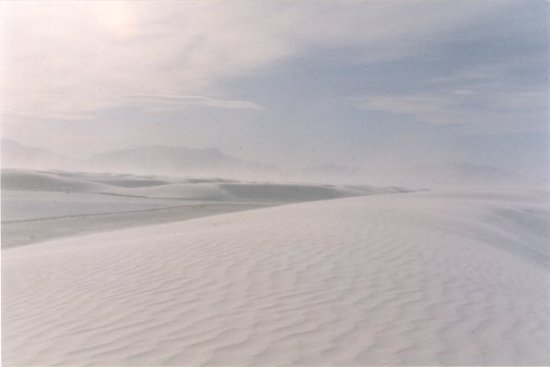 Desert White 2 by Marden Paul