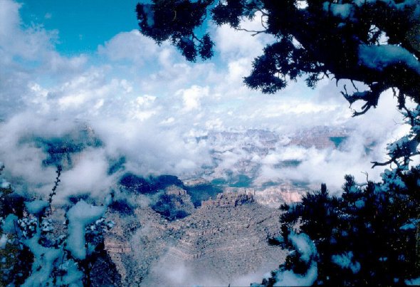 from the South Rim, a photograph by Marden Paul