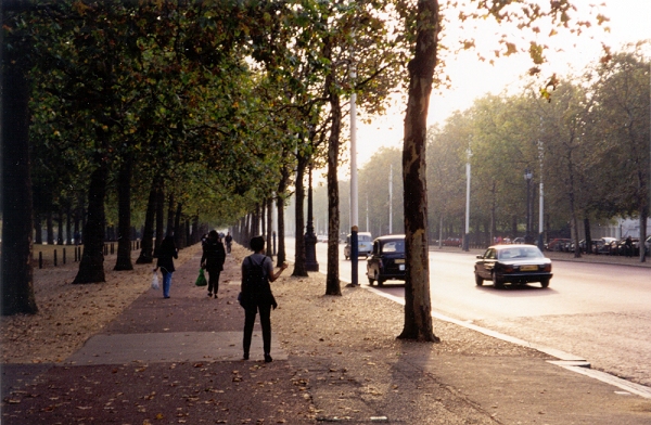 The Mall, adjacent to St. James's Park (London, England) by Shannon Persaud